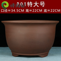 Flower box round large mouth shallow bottom flowerpot osmanthus tree Special wide flat large flowerpot rose pot dedicated