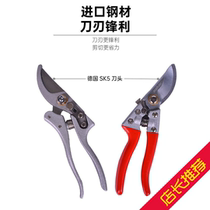 Garden landscaping pruners pruners labor-saving fruit trees Cut easily and vigorously coarse branches Cut Flowers Cut Plant Scissors Floral Tools