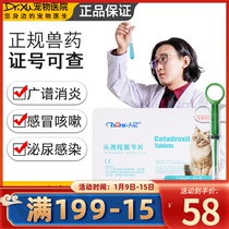 Benedict Ancedoxine hydroampicillin pet dog skin anti-inflammatory cat respiratory tract urinary infection special medicine