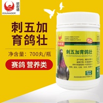 Xian Eurneyder Spurs 5-1 with 700-4 700 Pigeon Racing Pigeon dove supplies small pigeons with the hatchlings young pigeon balls 2