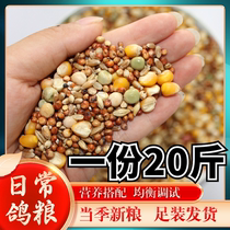 20kg of pigeon grain a grade pigeon food nutrition feed bird food young pigeon ornamental Pigeon Pigeon Pigeon grain