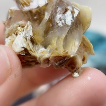 The Xin Express is just you ~ Firefly