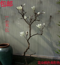 Magnolia dried branches Dried flowers Bouquet Dried branches Dried branches Tree decoration Magnolia simulation flower Bedroom Living room Floor-to-ceiling natural