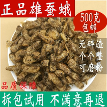 Chinese herbal medicine pure wild male silkworm moth wine wine raw silkworm moth male silkworm moth powder moth non-Tongrentang man nourishing