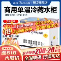 Ear Ling Horizontal water Drinks Display Case Commercial Frozen Beer Freezers Refrigerated Small fish glass door Refrigerator