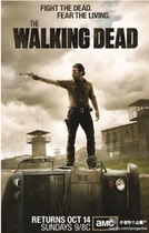 DVD Version The Walking Dead] Seasons 1-9 21 Discs