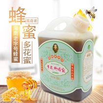 Hainan long-established name Zhuojin multi-flower honey Multi-flower honey source large package mature honey affordable