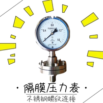 YTP100MC MF STAINLESS STEEL DIAPHRAGM PRESSURE GAUGE THREADED FLANGE DIAPHRAGM PRESSURE GAUGE-0 1-0 9MPA