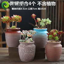 Special large caliber small creative village high style office lounge decoration variety of meat flower pot