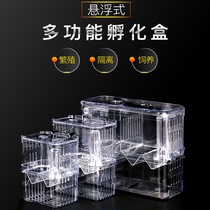 Guppies breeding box fish tank isolation box incubator acrylic suspension phoenix tail small fry spawning room separation
