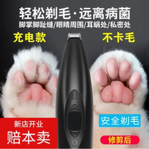 Kitty Shaving fur instrumental Pets Shaving electric pushers Silent Charging Teddy Trim Sole Theorizer Electric Pushback