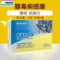 Glades poison dysentery pigeon medicine pigeon medicine adenovirus Salmons crop