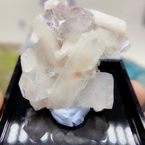 The Xin Yunson is just you ~ kindergarten