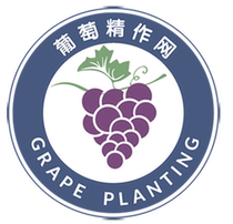 Antidote to activate plant cell feuds to improve quality foliage fertilizer 1 gr 3 gr