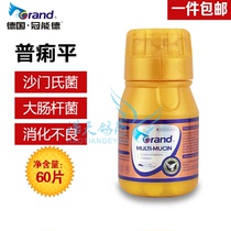 German Guannengde Pigeon Medicine (General Lupin) 60 Tablets of E. Coli Digestive System Pigeon Medicine Puli