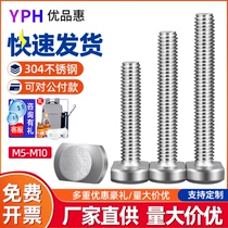 304 stainless steel T-screw profile pressure plate screw T-bolt M5M6M8M10*x16x20x35x60