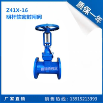 Z41X-16RRHX-Open rod elastic seat seal gate valve DN100 50 65 80 125 150 200 300