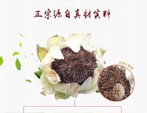 Xinjiang Tianshan Snow Lotus whole Iceberg Snowlian Dry Flowers 1 Bubble Wine Stock