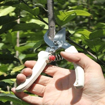 Pruning shears Hongyue Alice imported household tools scissors pruning coarse branches fruit trees flower scissors gardening scissors