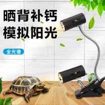 Turtle sun back light uva UVB sun light Turtle light Full spectrum climbing pet light Insulation calcium sterilization three-in-one