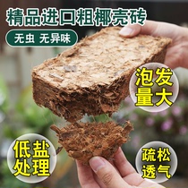 Coconut brick desalination coarse coconut shell brick coconut bran soil cultivation substrate plant flowers universal orchid planting soil sterile low salt