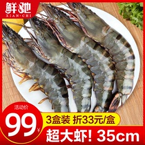 Extra large black tiger shrimp fresh prawn tiger shrimp fresh tiger shrimp base shrimp extra large spotted shrimp seafood bamboo nine shrimp