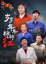 Year of year old tomatoes red dvd disc full version of rural emotional love TV drama Wang Qian Hua Shen Hang