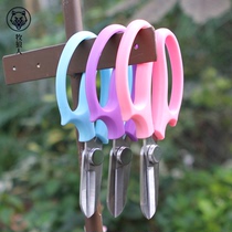 Flower scissors Gardening floral scissors Wide head Home flower scissors Flowers flower road cut branches branch repair flower pruning tools