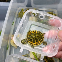 Lets choose a boutique flame