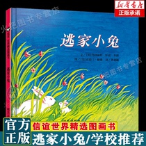 Escapist Little Rabbit plotshell Hardshell Precision of the New York Times Annual Childrens Books 0-3-4-5-6-year-old Kindergarten Primary School Primary 1 Primary 2 Children Enlightenment Story Books Drawings Child Books Non