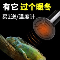 Turtle box heat preservation lamp snake tortoise lizard horn frog ceramic heating lamp tortoise temperature control heating lamp turtle bulb
