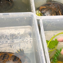 Lets choose a boutique flame