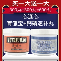 Heart hyphenated dove medicine chicks 300 pills to deliver calcium-phosphorus-speed rehydration pills 300-grain combined race pigeon-dove supplies pigeon medicine