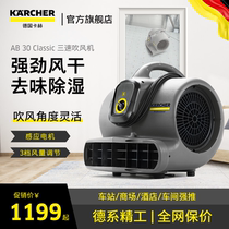 Germany Kach Karcher Industrial High Power Blower Toilet Floor Dryer Hair Dryer Ground Blower AB30