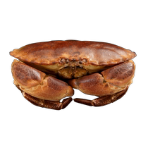 Wei Ku fresh bread crab 400g-600g big crab Golden Crab Fortune Crab Live sea crab Seafood aquatic products