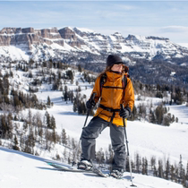 (Gang turn 4) ANCESTOR BIRDS MOUNTAIN WAREHOUSE MEN AND WOMEN Sell Down Single Contact Customer Service