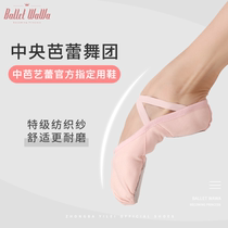 Ballet doll Childrens dance shoes Soft-soled ballet shoes Single shoes Female body examination practice shoes Adult cat claw shoes