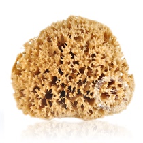 Mediterranean natural seaweed tools 3~4 5 inch Art paint diatom mud small sponge non-bath brush