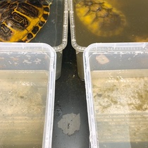 Lets choose a fine flame