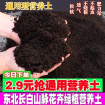 Manji nutrient soil 10kg planting flowers planting vegetables soil flowers green plants succulent plants green plants potted planting flowers