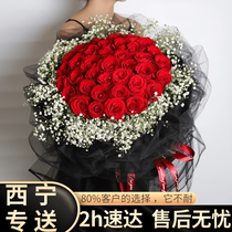 Red rose bouquet gift box Qinghai Xining flowers express the same city East City West City North birthday distribution flower shop