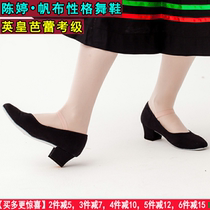  Chen Ting Emperor Ballet dance Yangge dance grading shoes Ethnic dance Tibetan dance Low-heeled high-heeled canvas character dance shoes