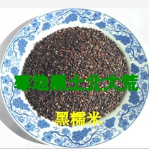 Northeast specialty new black blood glutinous rice one catty farmers own grain coarse grain glutinous rice substitute low-fat rice Rice
