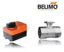 Agent Direct Camp Swiss belimo R225AC DN25 Two-pass ball valve TR24 electric actuator