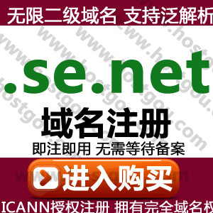   se net domain name registration Support pan-resolution Unlimited second-level domain name Rice foreign trade Swedish website purchase