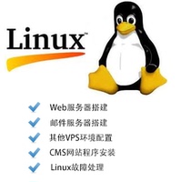  Linux server environment configuration Website maintenance Alibaba Cloud ECS Construction PHP Troubleshooting Security optimization