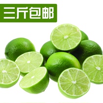 Fresh little green lemon mini seasonal fruit skin thin juicy with bad bag 500g