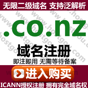co nz domain name registration supports pan-resolution unlimited second-level domain Rice foreign trade New Zealand website purchase