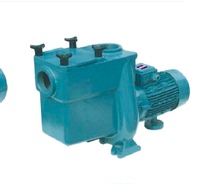 Best selling DEMNEZI swimming pool equipment circulation filter equipment H series 3-15HP cast iron water pump sewage suction pump