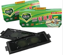 Green leaf dust-proof sticky rat house sticky powerful mouse plate rat stickrat-mouse-mouse-glue rat cage drives for two per case